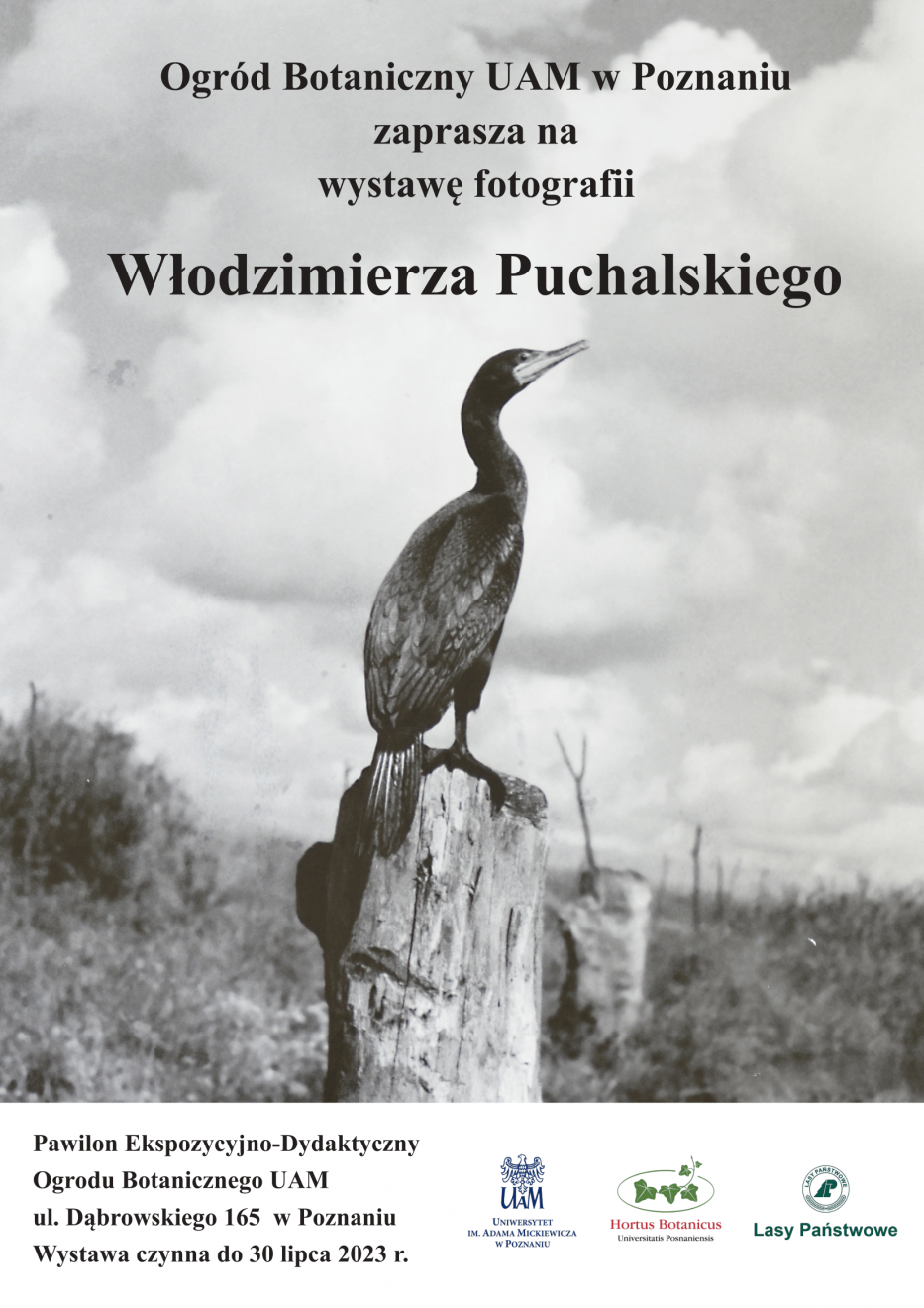 wystawa fotografii Włodzimierza Puchalskiego