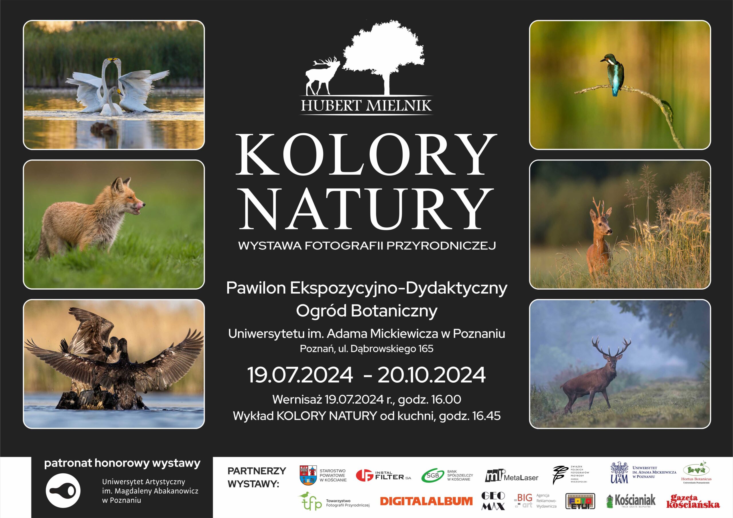 plakat wystawa fotografii Kolory Natury 2024
